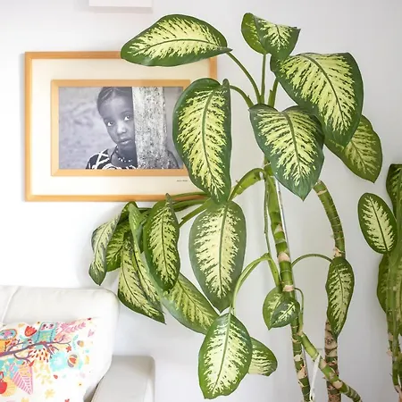 Higueron Maritimo Romar C Appartement