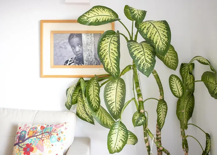 Higueron Maritimo Romar C 公寓